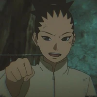 Shikadai