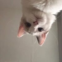 con tác giả nề=)