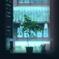 bí ẩn
