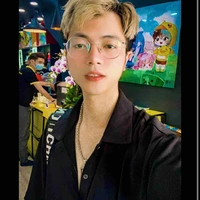 Mr vịt