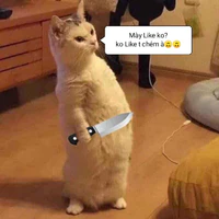 Tác giả 🖕