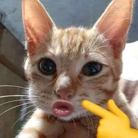1 NGƯỜI NÀO ĐÓ