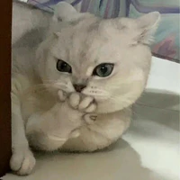 Nhân Vật Quần Chúng