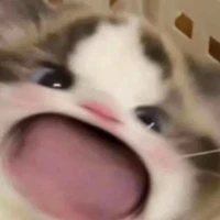 Tác Giả Nừ <3