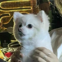 Nie