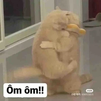 Rein + Ren