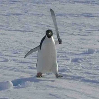 Cánh cụt bị đụt 🐧