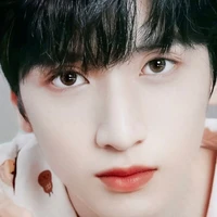 Nghiêm Hạo Tường