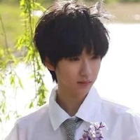 Hạ Tuấn Lâm