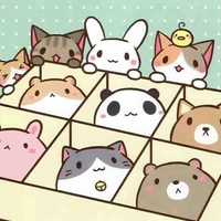 Cả lớp 