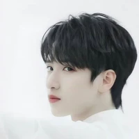 Nghiêm Hạo Tường