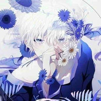 Điệp Du Ninh (Thụ)