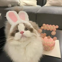 con chó chung cư kế bên