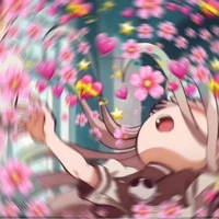 Y/n