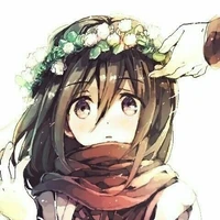 Mikasa Ackerman ( nhỏ )