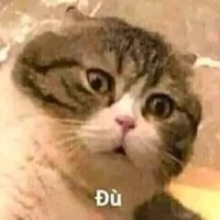 Tác giả ăn hại