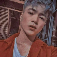 Mister Vịt - Hoài Việt