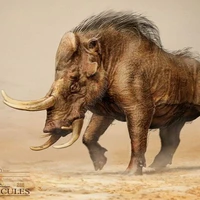 Heo Rừng Một Sừng