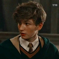 Newt Scamander