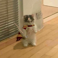 Anh/em nhà Potter