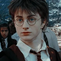 Harry James Potter