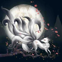 Tiểu Hồ
