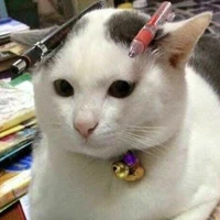 Mèo Mướp*Tác Giả*