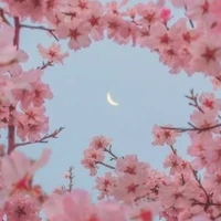Như Tỷ