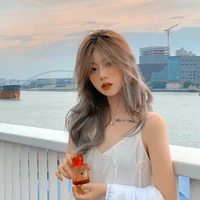Han Y/n