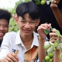 Lê Nhựt Thành