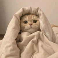 Tác giả đẹp trai