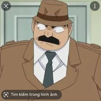 Thanh tra Megure