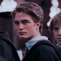 Cedric Diggory