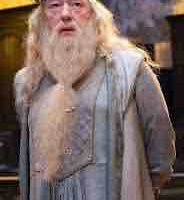 Albus Dumbledor