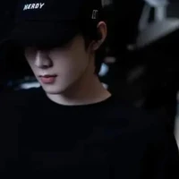 Lưu Diệu Văn(anh)