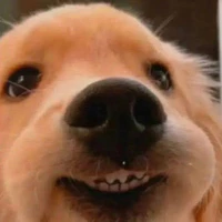 Pé tác giả