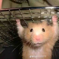 tác giả