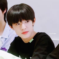 Trương Trạch Vũ