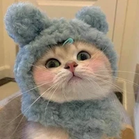 Các cậu