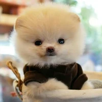 Hệ thống/Tiểu Lam (012)