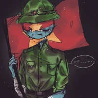 Mặt Trận(MTDTGPMNVN)