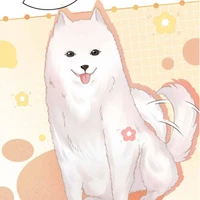 hệ thống - tiểu bạch