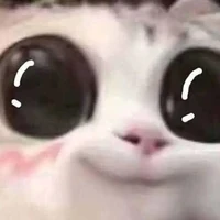 Tác giả cuti đây