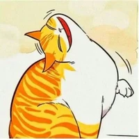 Kaydey_ dạng mèo