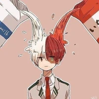 Todoroki Shoto