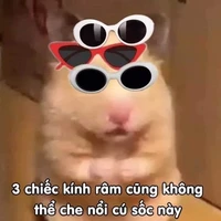 Tui là tác giả ngáo ngơ