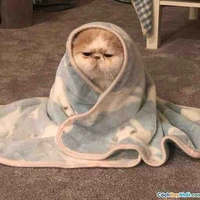 Người mà ai cũng bíc