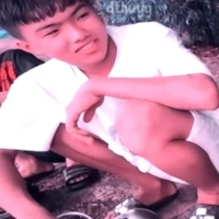 Phạm Đình Hoà
