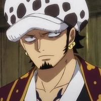 Law