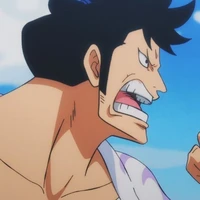 Kin